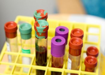 Penduduk Indonesia Berdasarkan Golongan Darah, Golongan O Mendominasi