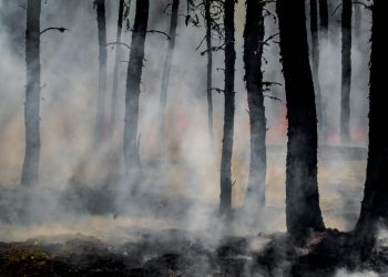 Data Bencana Alam di Indonesia pada 2023