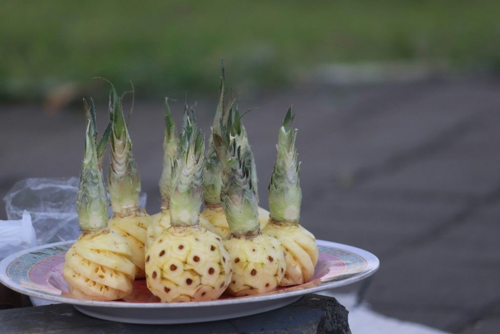 Nanas Menggugurkan Kandungan, Fakta atau hanya Mitos