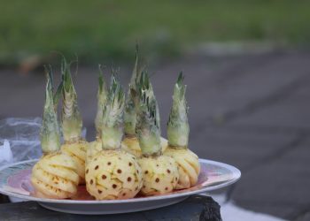 Nanas Menggugurkan Kandungan, Fakta atau hanya Mitos