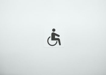 Jumlah Penyandang Disabilitas di Indonesia