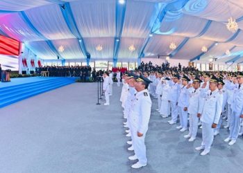 Jumlah Kepala Daerah Dilantik 2025 Berdasarkan Tingkatan