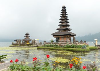 Jumlah Penduduk Bali 2024 Berdasarkan Pendidikan
