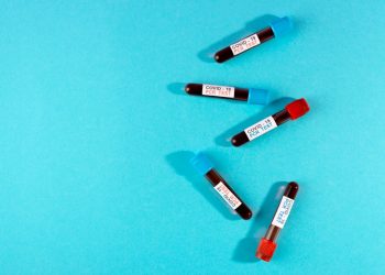 Jumlah Penduduk Indonesia 2024 Berdasarkan Golongan Darah