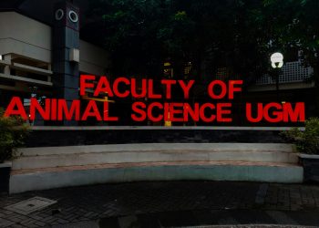 Alasan Gen Z Tidak Melanjutkan Kuliah, Masalah Ekonomi hingga Pilihan Belajar Mandiri