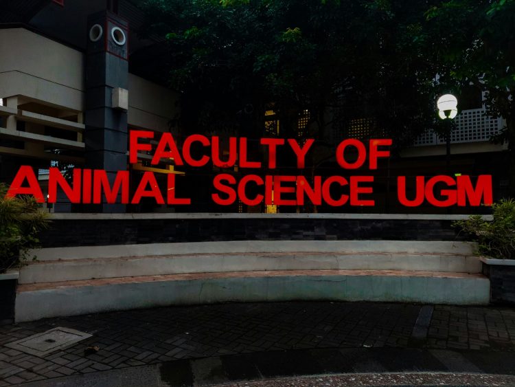 Alasan Gen Z Tidak Melanjutkan Kuliah, Masalah Ekonomi hingga Pilihan Belajar Mandiri