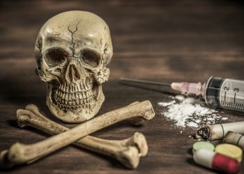 Data BNN Ungkap Profil Tersangka Narkoba 2024, Siapa Terbanyak