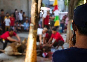 Daya Beli Melemah, Potensi Ekonomi Kurban 2025 Turun