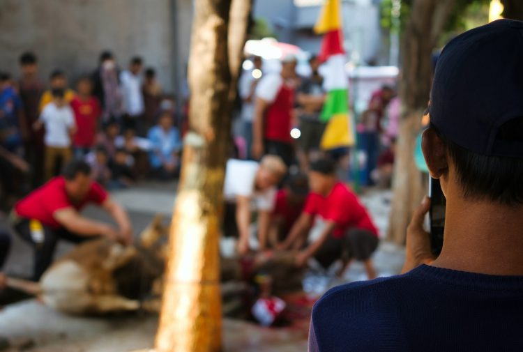 Daya Beli Melemah, Potensi Ekonomi Kurban 2025 Turun