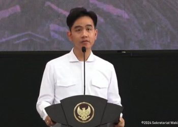 LHKPN Gibran Rakabuming Raka 2024, Total Harta Kekayaan Capai Rp27,5 Miliar