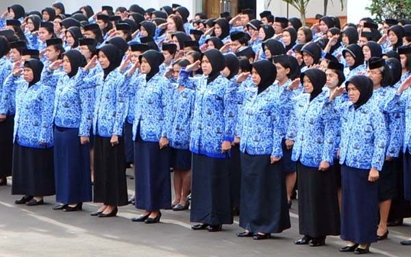 Jumlah Pegawai Negeri Sipil di Jawa Tengah 2024 Didominasi Lulusan Sarjana
