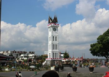 Daftar KabupatenKota Terluas di Sumatra Barat, Pesisir Selatan Nomor 1