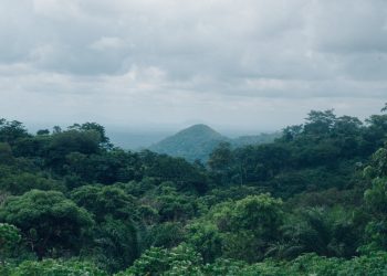 Luas Kawasan Hutan yang Dikelola Masyarakat 2024