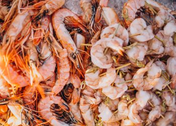 Nilai Ekspor Udang Indonesia 2024 Capai US$1,68 Miliar, AS Jadi Tujuan Utama
