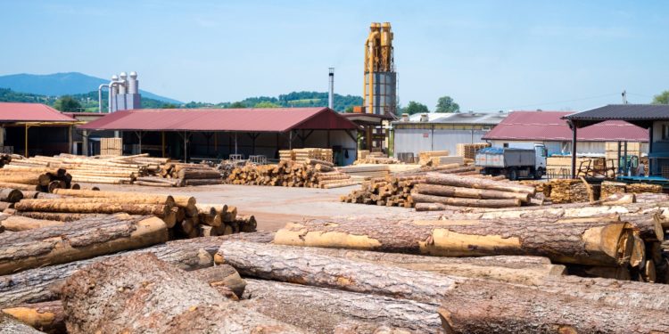 Luas Deforestasi di Indonesia 2024 Tembus 175 Ribu Hektare, Riau Teratas