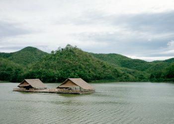 Penurunan Luas Kawasan Konservasi di Indonesia 2024, Taman Nasional Tetap Terluas