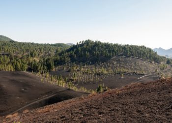 Banjir Bandang dan Longsor di Bandung Barat 7 Meninggal, Ratusan Masih Hilang