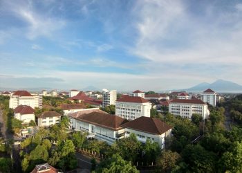 Terungkap! Prodi dengan Daya Tampung Terbanyak pada SNBT 2026: Hukum dan PGSD Mendominasi