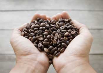 Negara Penghasil Kopi Terbesar di Dunia pada 2025/2026