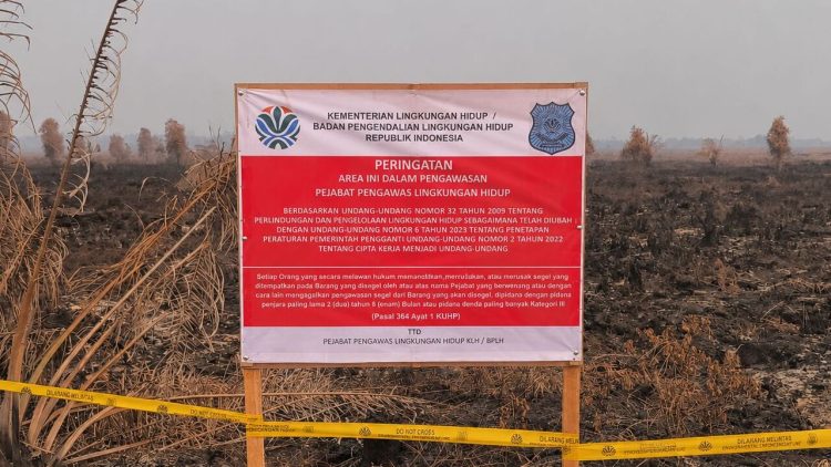 21 Perusahaan Disegel KLH-BPLH terkait Karhutla, Kalbar Terbanyak (1)