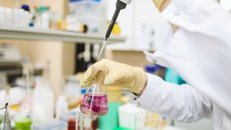 5 Universitas Jurusan Teknik Kimia Terbaik di Indonesia Versi QS 2026, ITB Memimpin