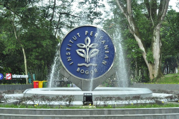 9 Universitas Jurusan Pertanian dan Kehutanan Terbaik di Indonesia Versi QS 2026, IPB Nomor 1