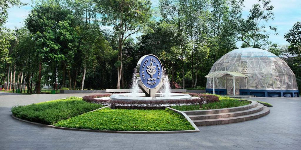 Jangan cuma Lihat Ranking Kampus saja, Jurusan ini justru Masuk 50 Besar Dunia