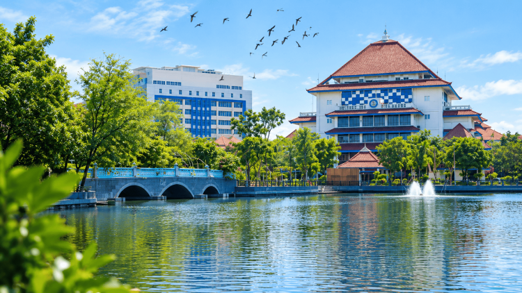 Unair vs UI, Siapa Kampus Paling Internasional Versi THE WUR 2027?